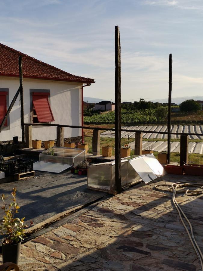 Casa Da Vinha Grande Hotel Poiares Bagian luar foto
