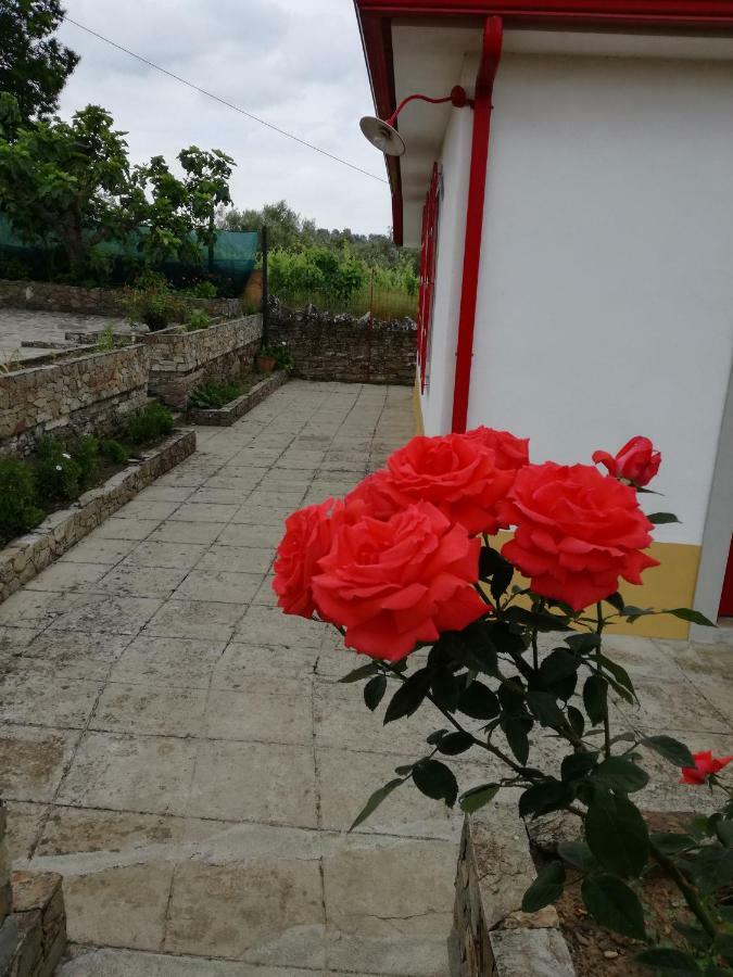 Casa Da Vinha Grande Hotel Poiares Bagian luar foto